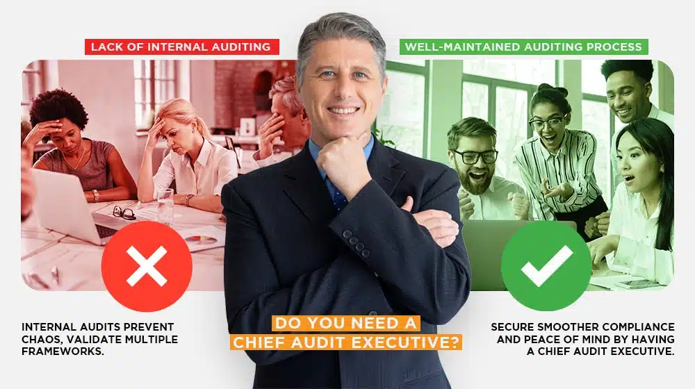 Do You Need a Chief Audit Executive