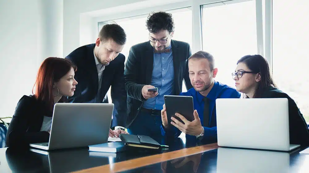 A Team Reviewing Information