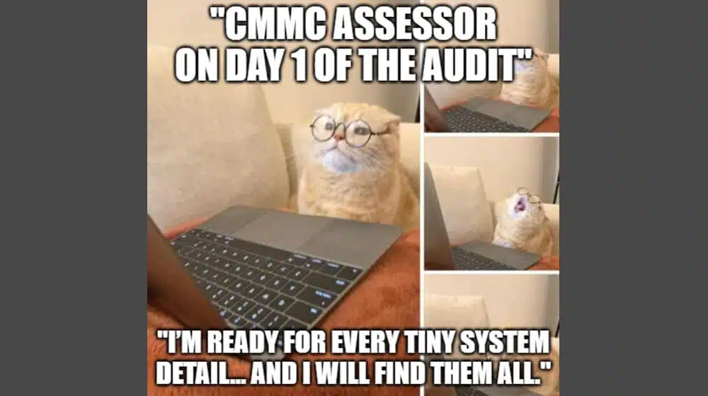 What Does the CMMC Assessor Do