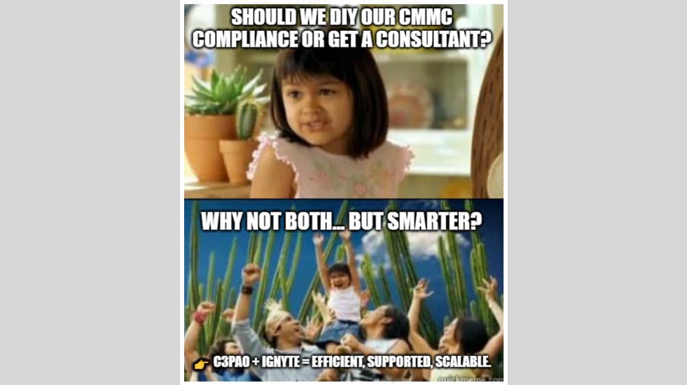 Option 3 Work with a C3PAO to handle compliance guidance tasks