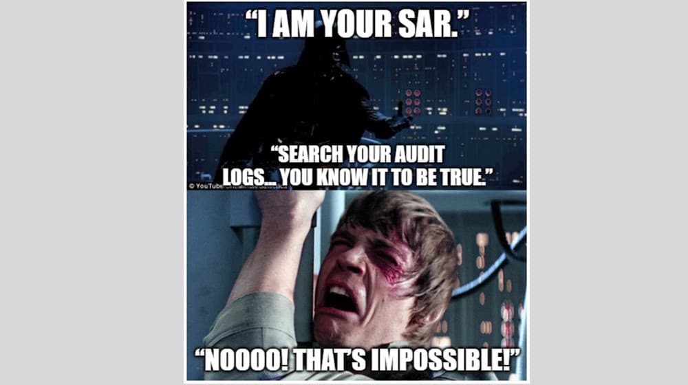 What Does the SAR Contain