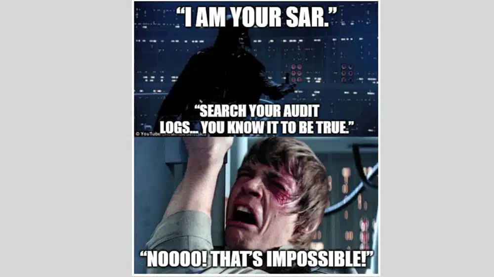 What Does the SAR Contain