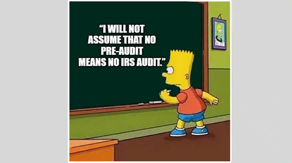 Who Conducts IRS Publication 1075 Audits