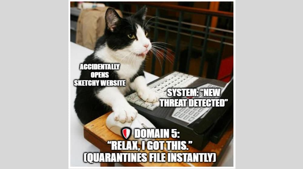 Domain 5 Malware Protection